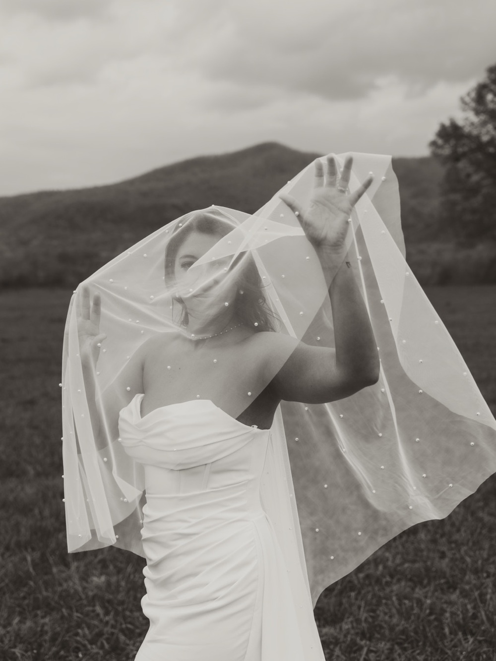 Pearl-Embellished Bridal Veil in White